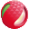 DV生活频道